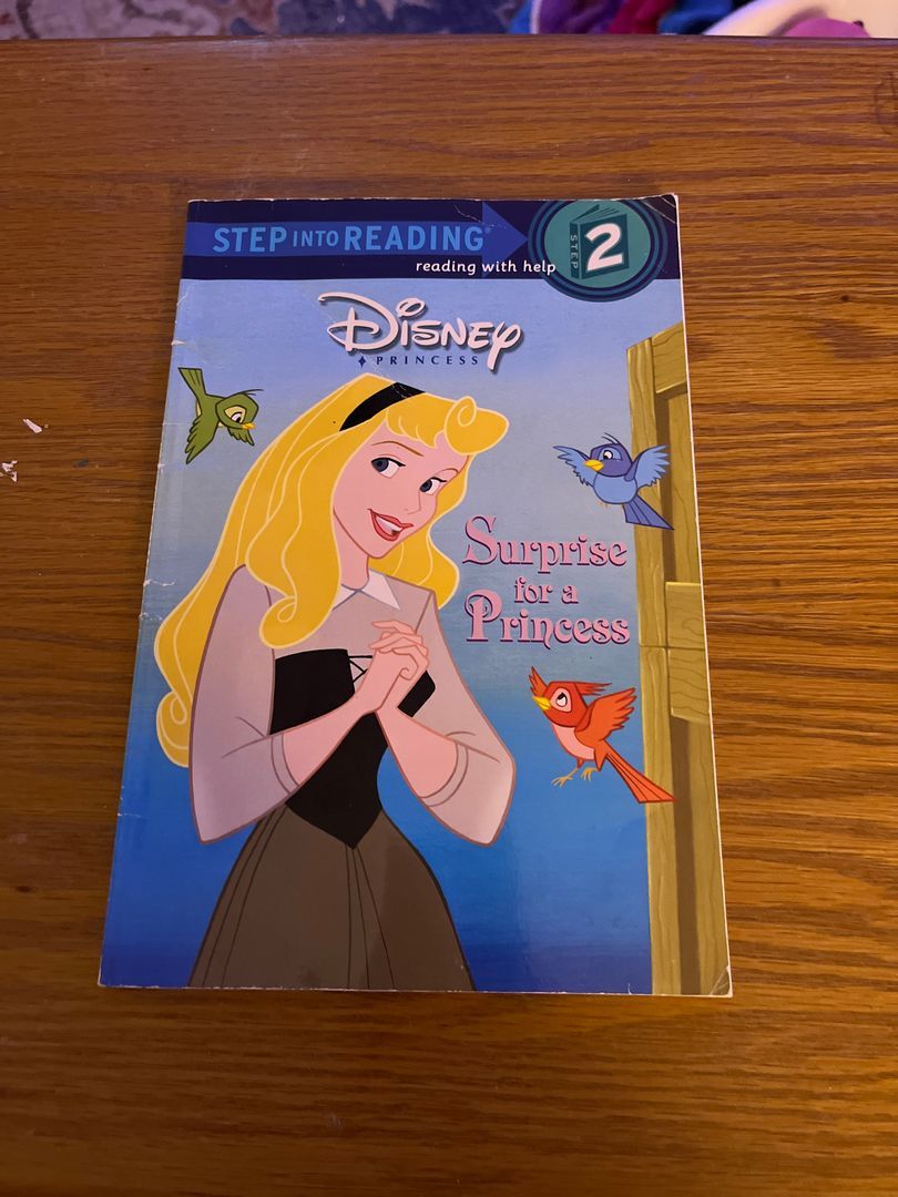 Surprise for a Princess