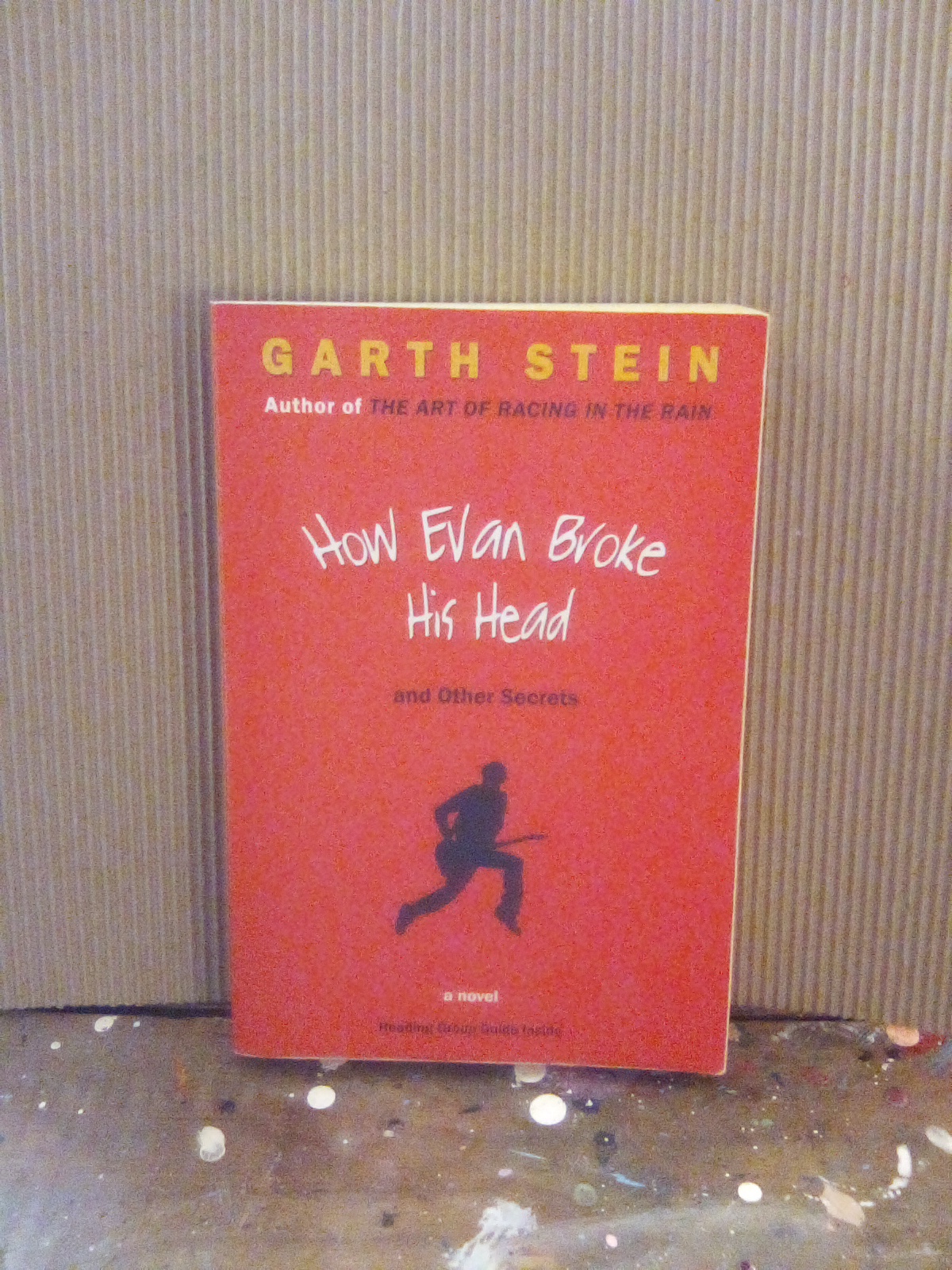 How Evan Broke His Head and Other Secrets