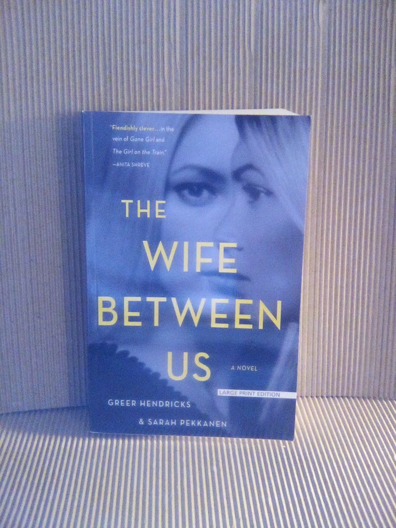 The Wife Between Us