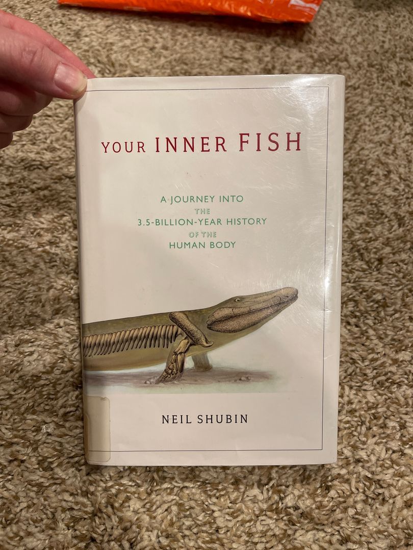 Your Inner Fish