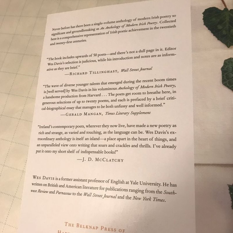 An Anthology of Modern Irish Poetry by , Paperback | Pangobooks