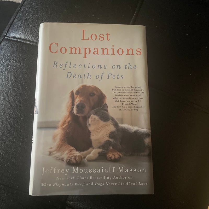 Lost Companions