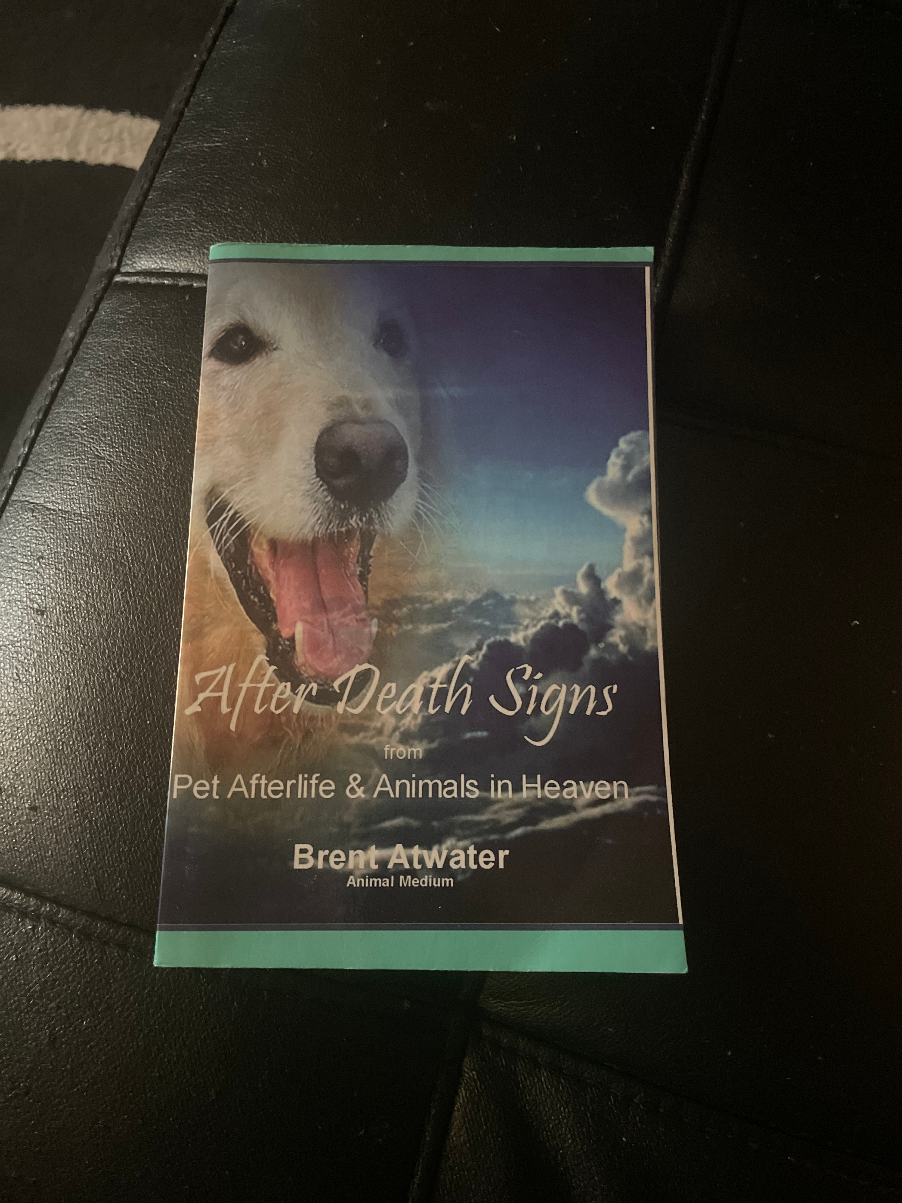 After Death Signs From Pet Afterlife And Animals In Heaven By Brent Atwater