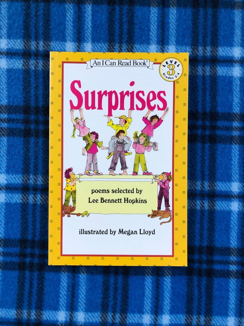 Surprises: 38 Poems about Almost Everything!