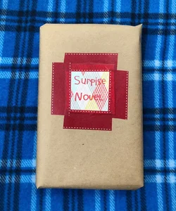Blind Date With a Book: Literary Novel