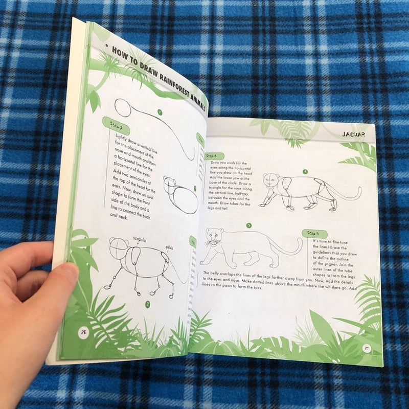 How to Draw Rainforest Animals