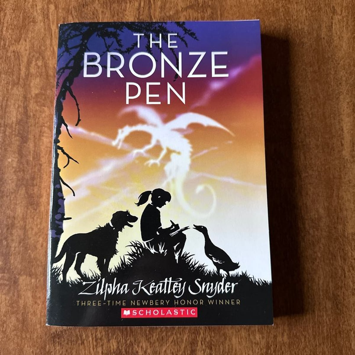 The Bronze Pen by Zilpha Keatley Snyder, Paperback | Pangobooks
