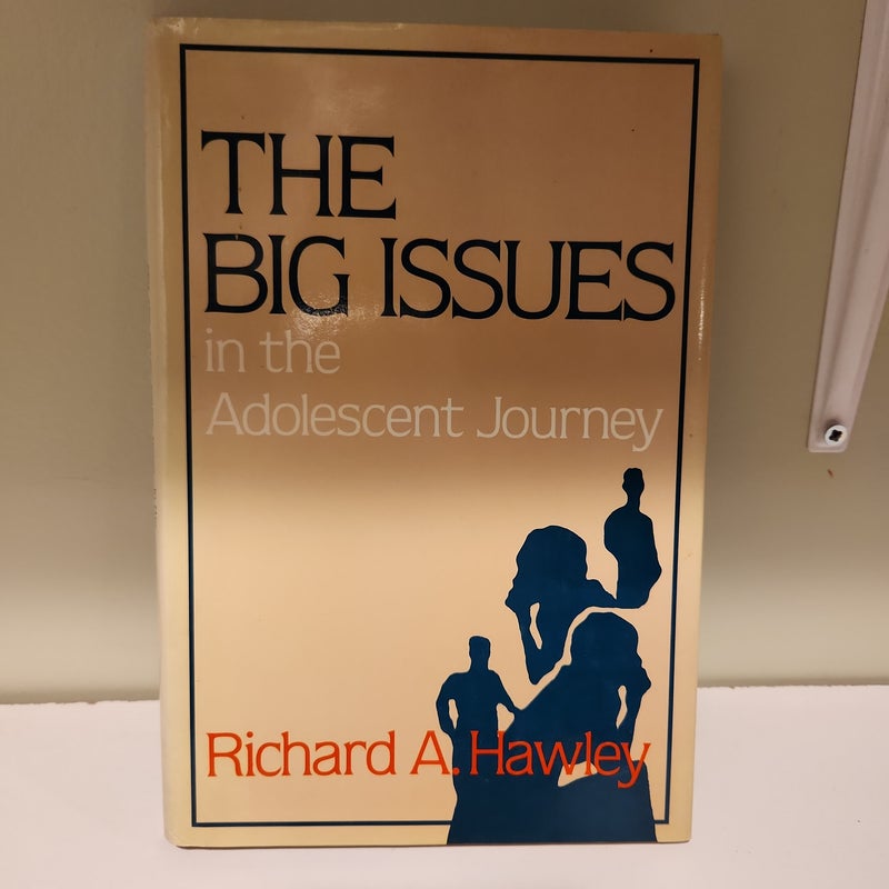 The Big Issues in the Adolescent Journey