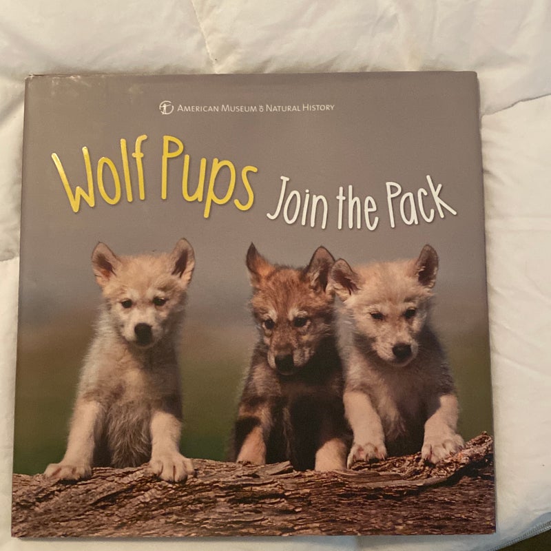 Wolf Pups Join the Pack