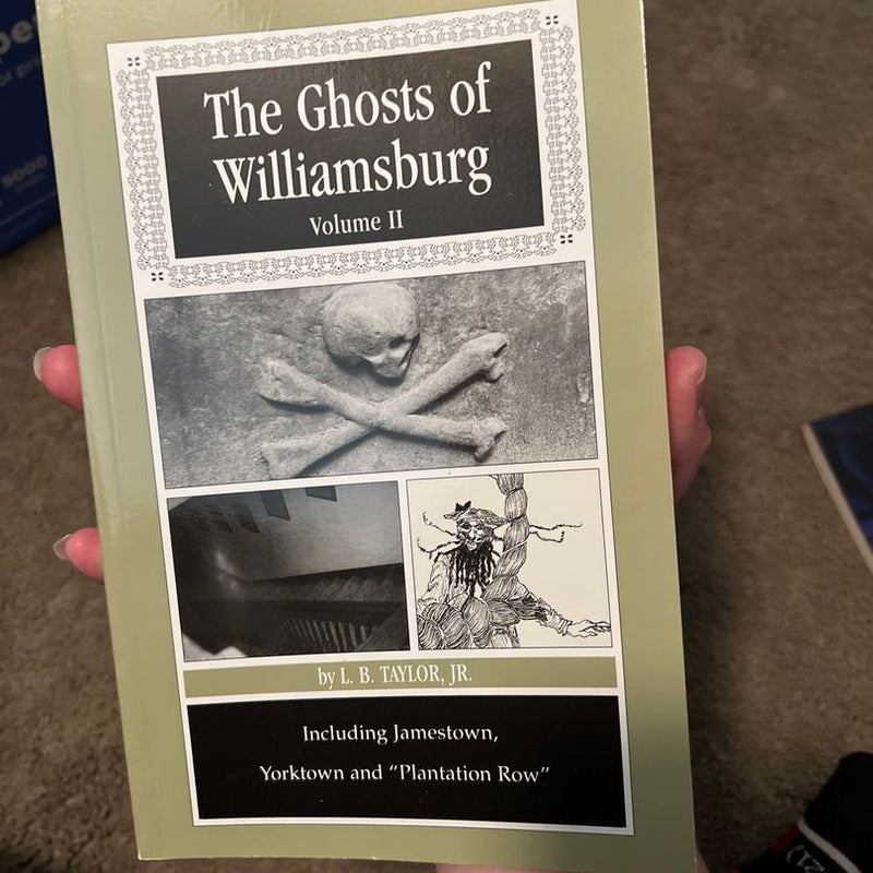 The Ghosts of Williamsburg 