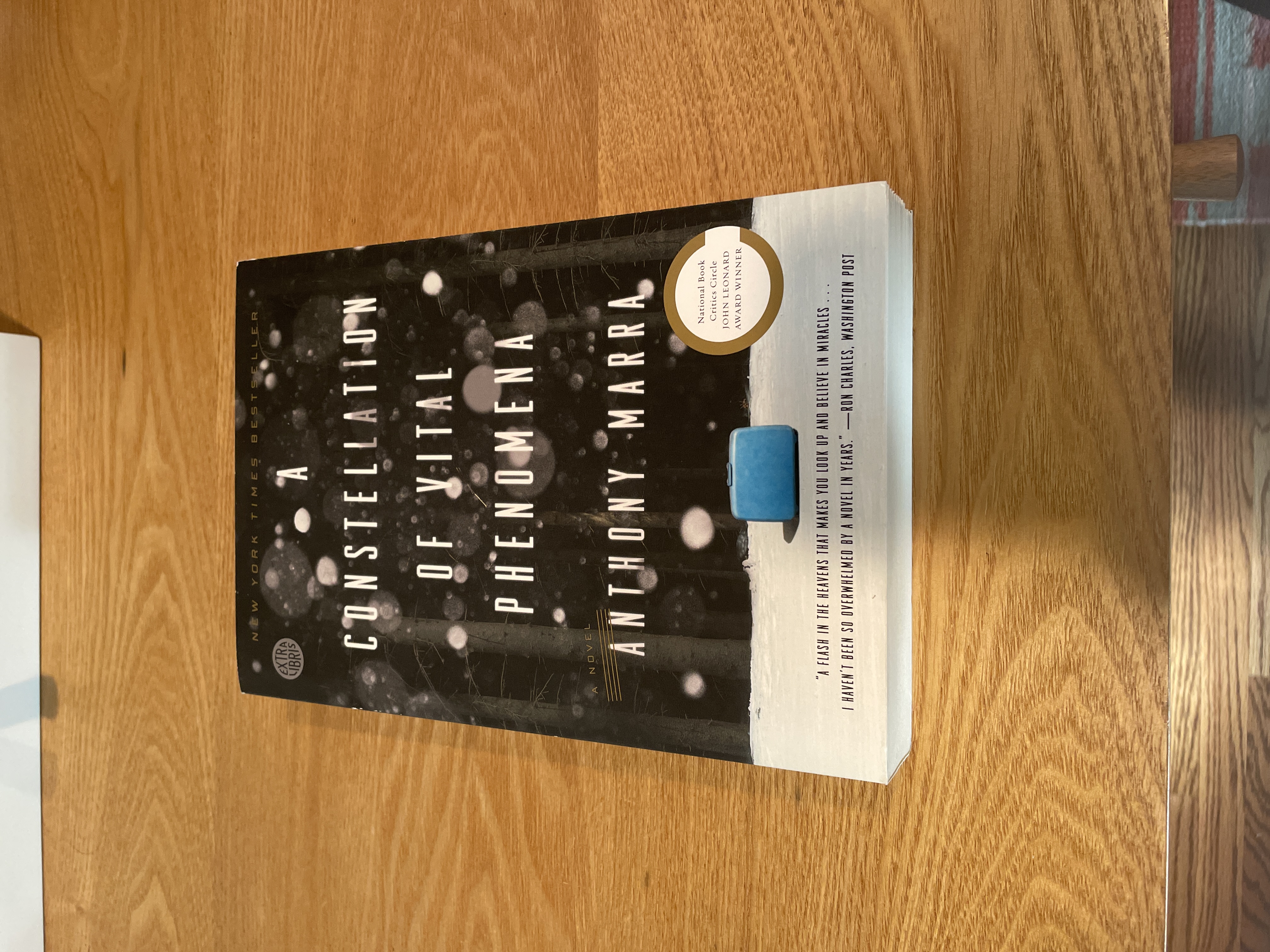 A Constellation of Vital Phenomena book cover