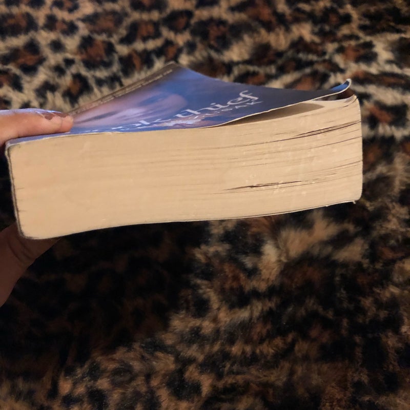 The Book Thief
