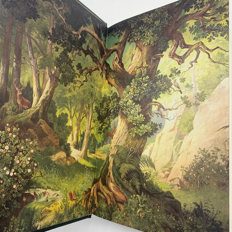 Grimm’s Complete Fairy Tales Illustrated Leather Bound Collectors Edition
