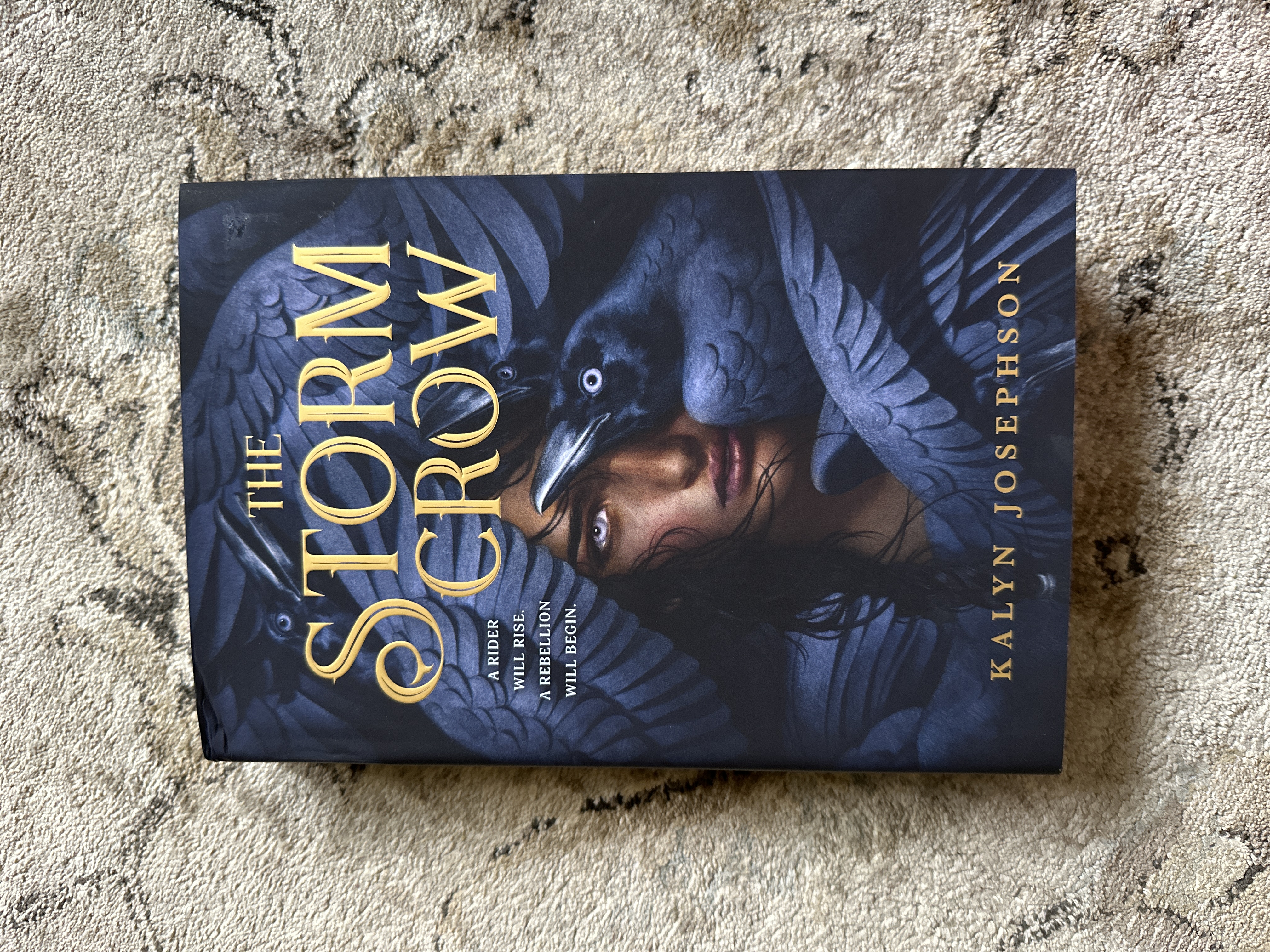 The Storm Crow