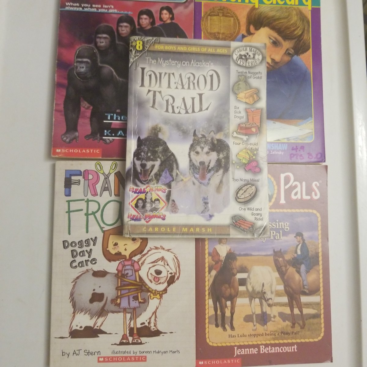 Mystery on Iditarod Trail by Carole Marsh