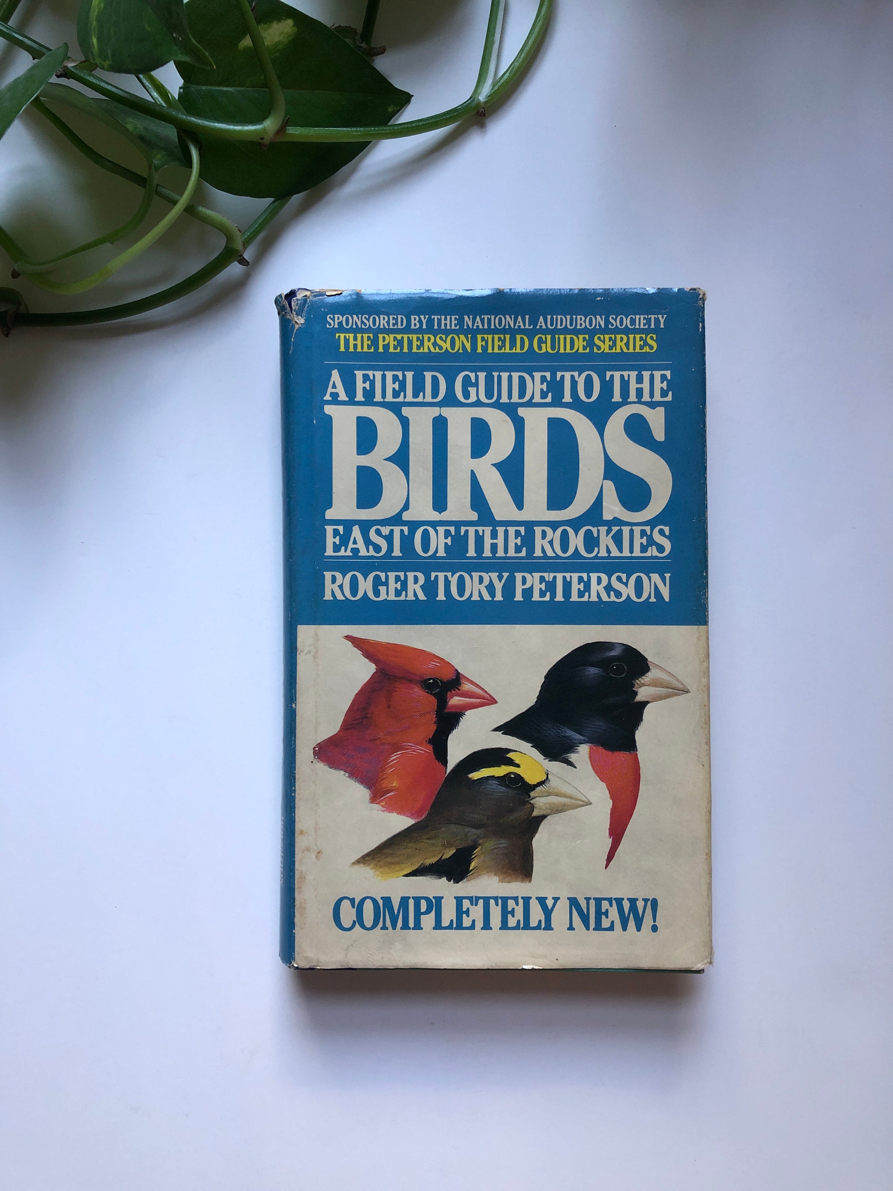 A Field Guide to the Birds