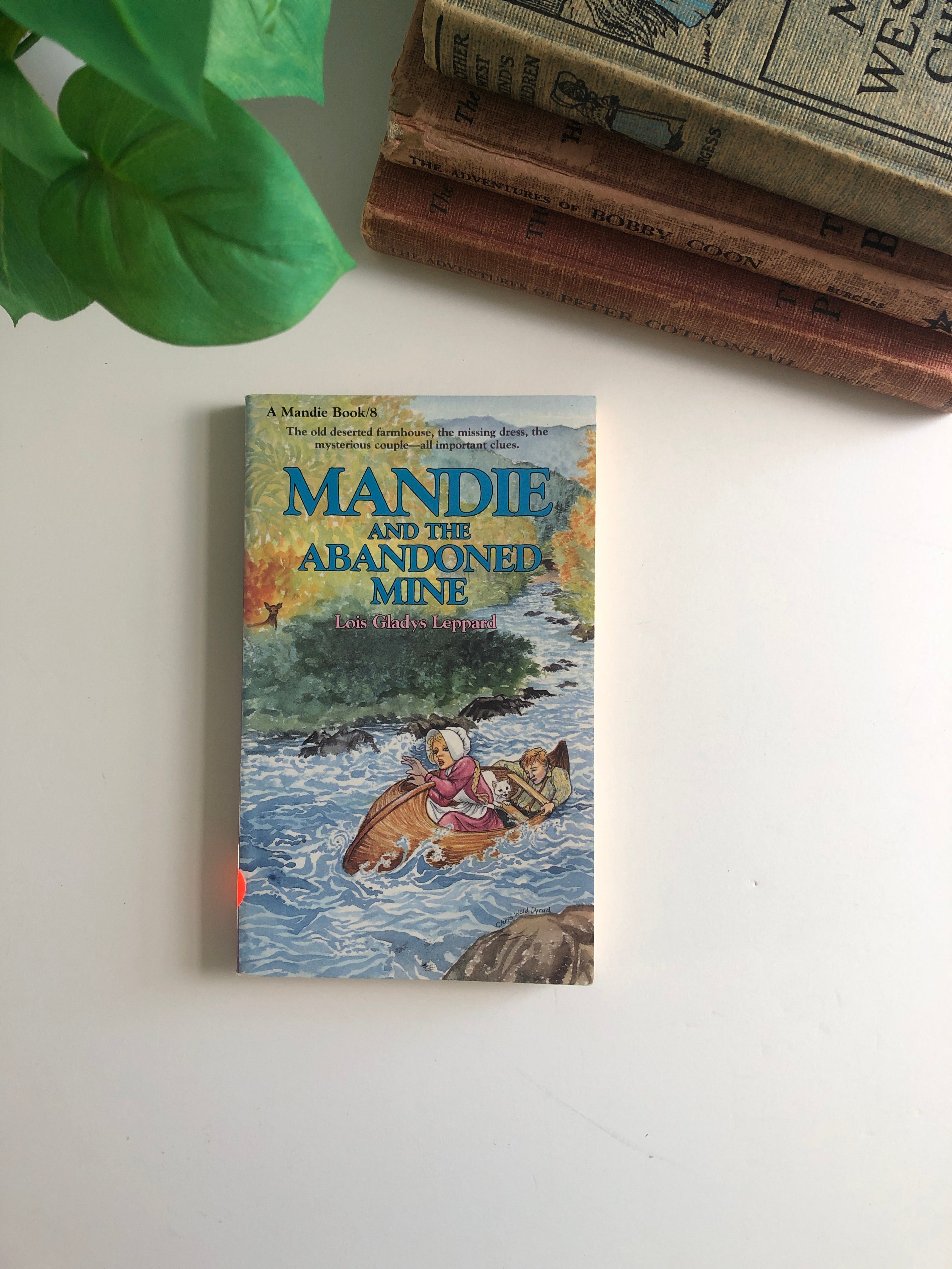 Mandie and the Abandoned Mine