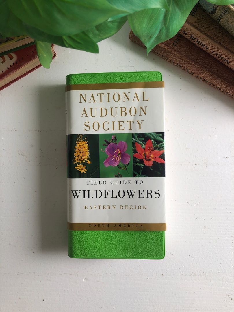 National Audubon Society Field Guide to Wildflowers