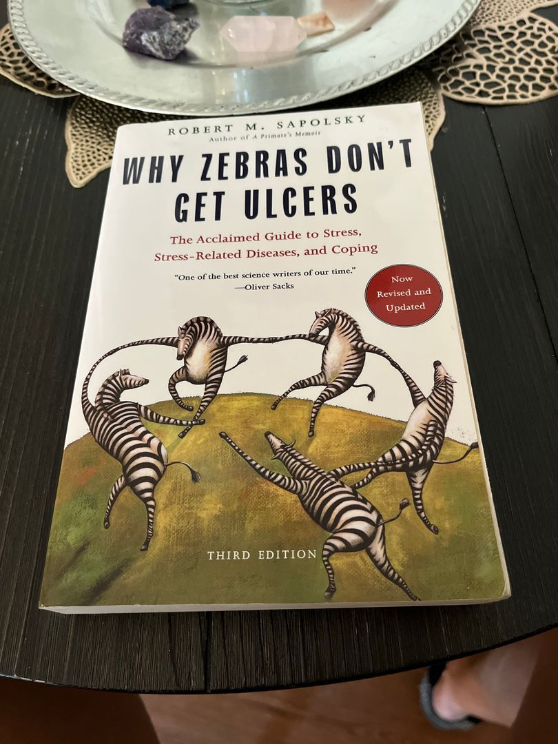 Sale image for 6ca9f560-624d-43d7-82f8-2dd9bb67941b-RlmAFwZYBecvSLilbl09DFXfcJC3