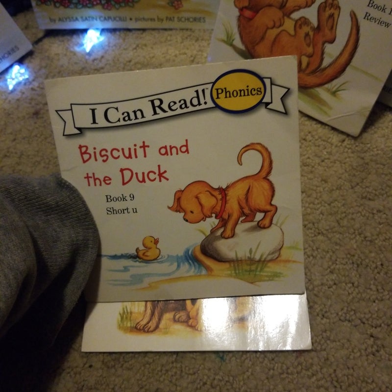 Biscuit bundle (6 Books)