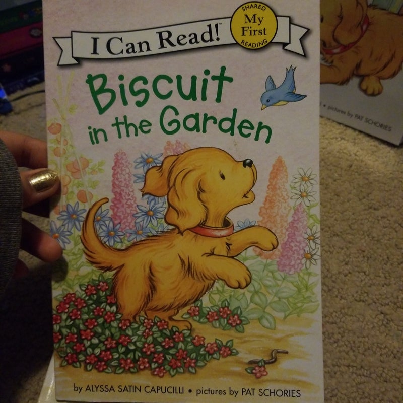Biscuit bundle (6 Books)