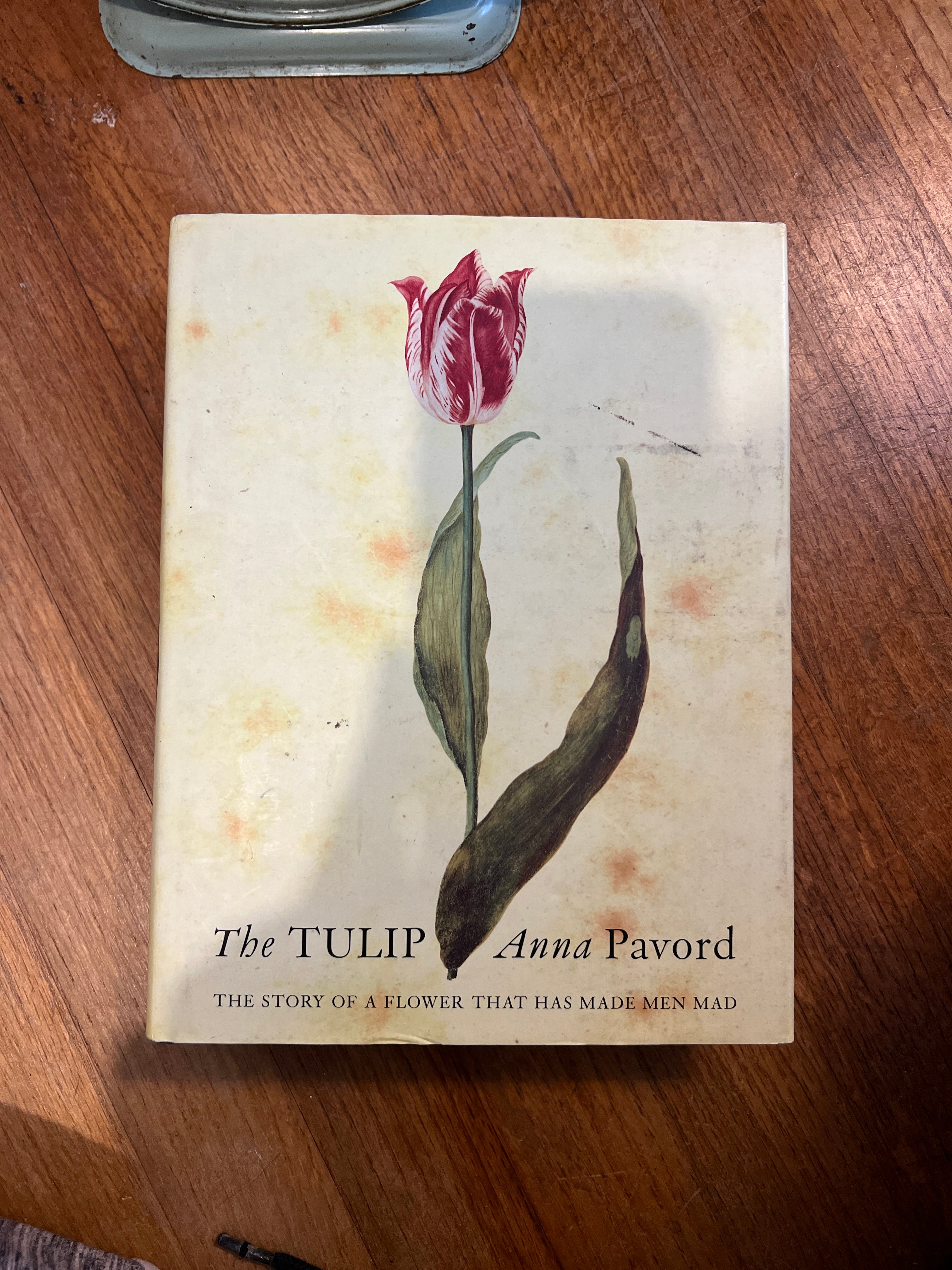 The Tulip