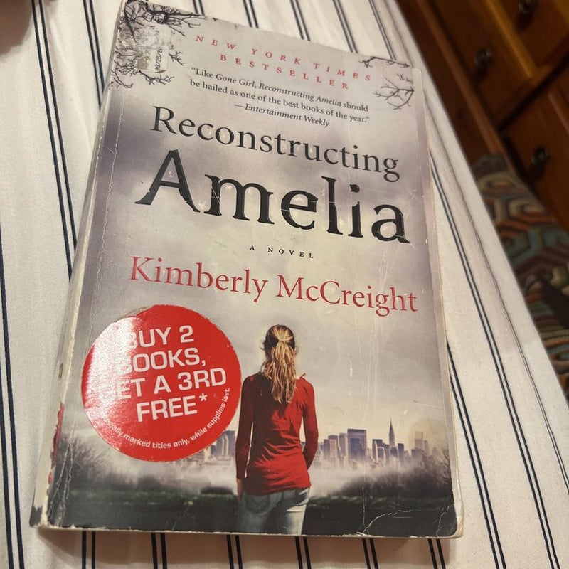 Reconstructing Amelia