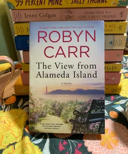 The View from Alameda Island (mass market paperback)