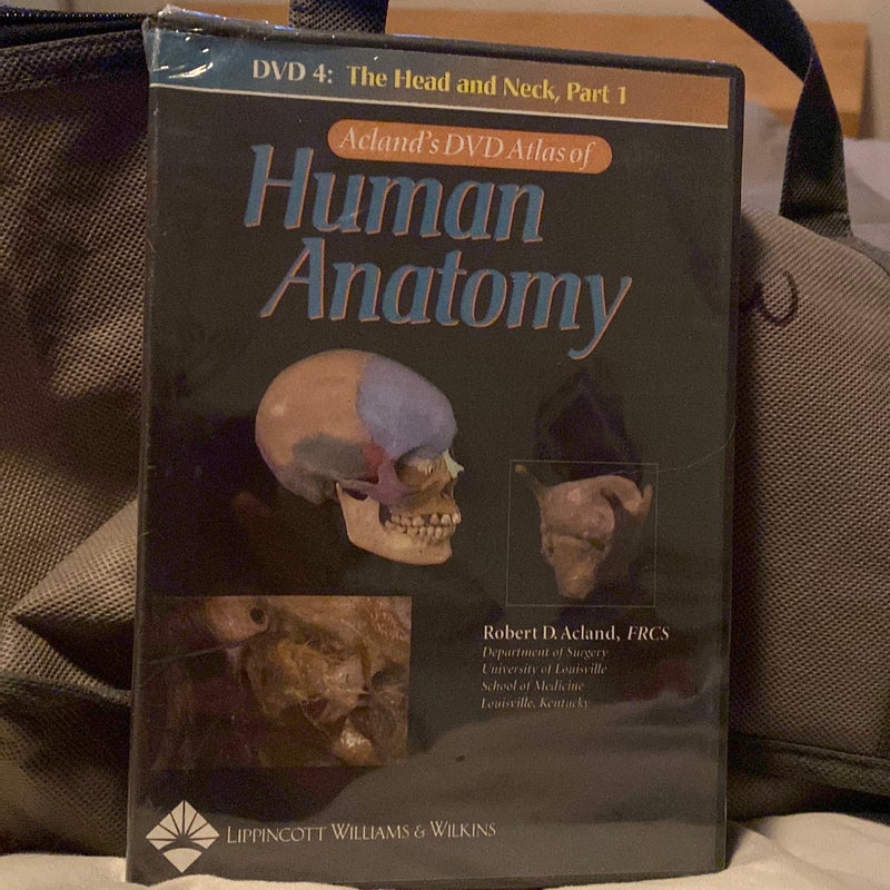 Human Anatomy