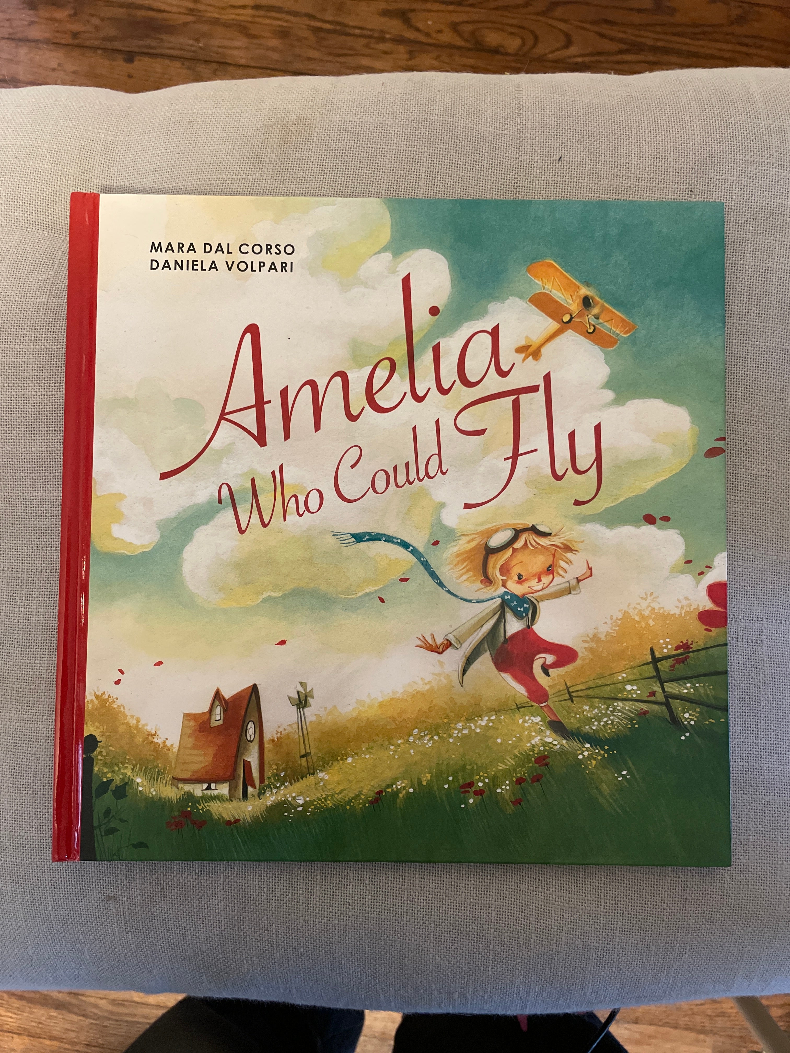 Amelia Who Could Fly