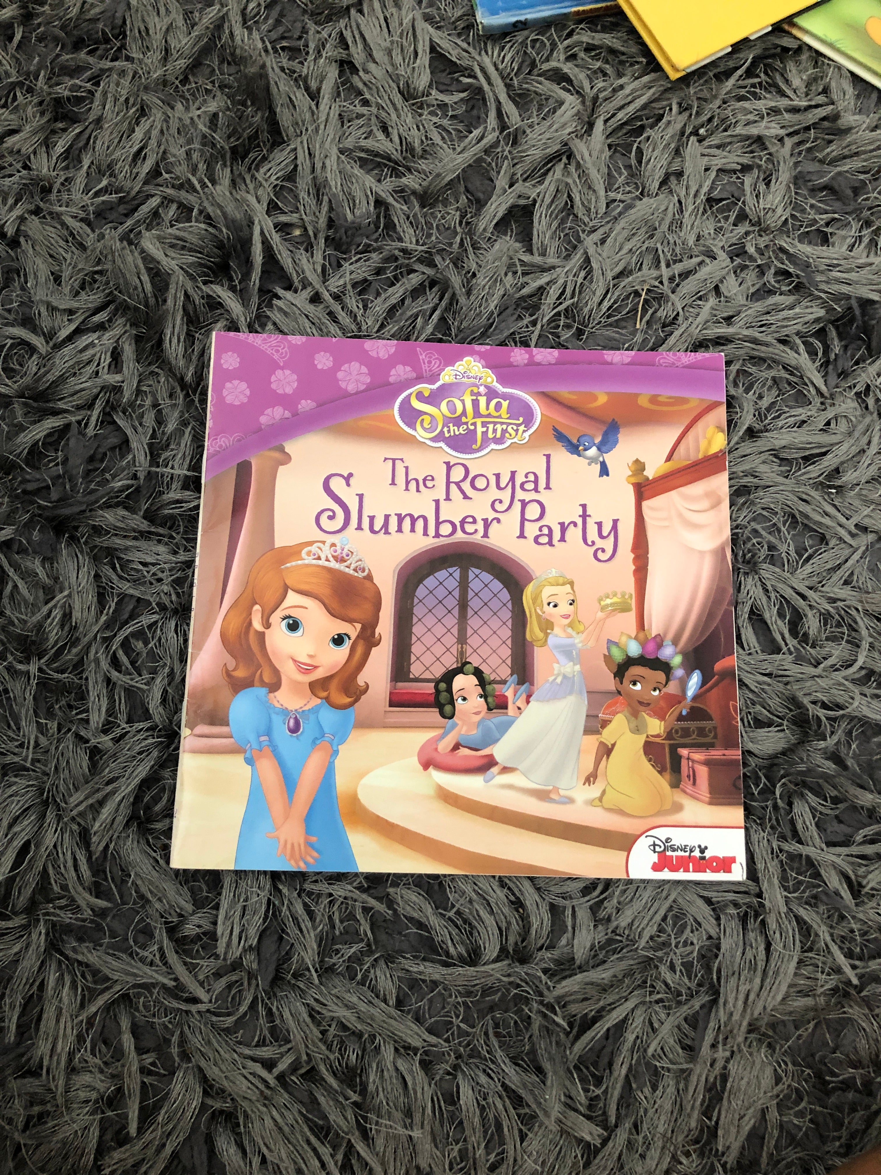 Sofia the First the Royal Slumber Party