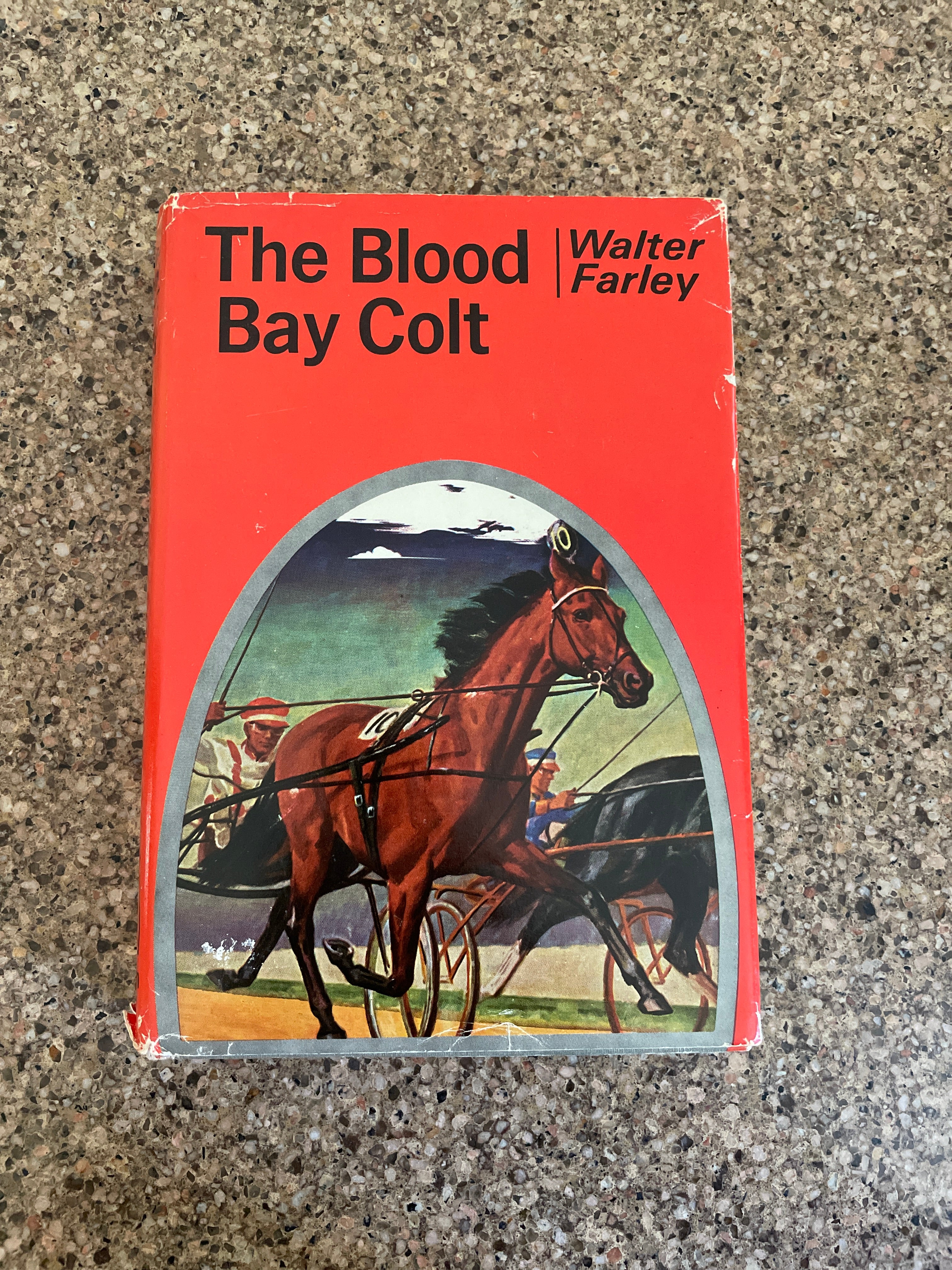 The Black Stallion's Blood Bay Colt