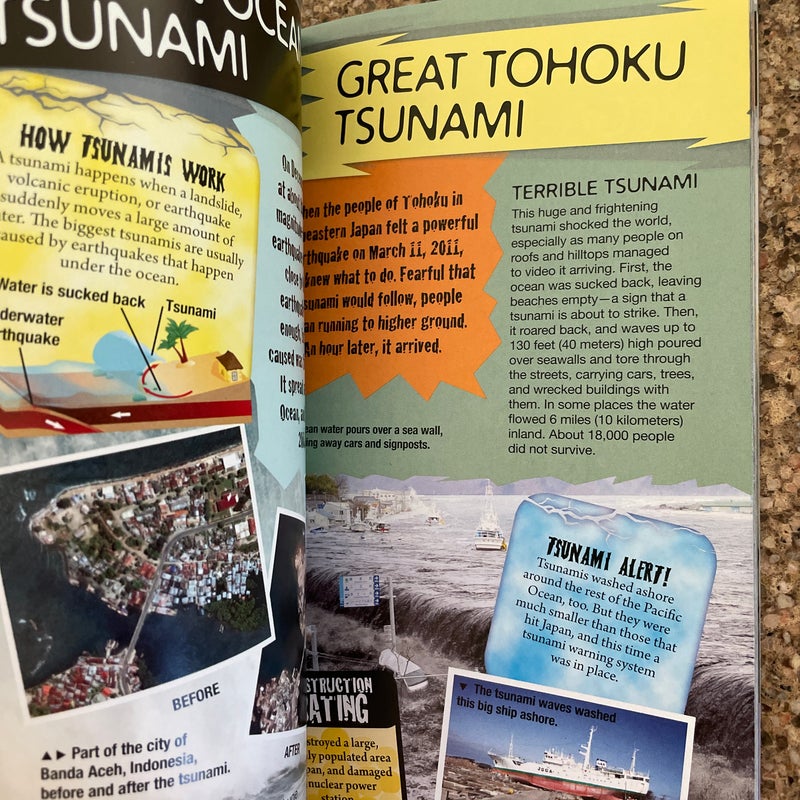 100 Most Destructive Natural Disasters Ever by Anna Claybourne