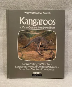 Kangaroos and Other Creatures from down Under