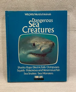 Dangerous Sea Creatures