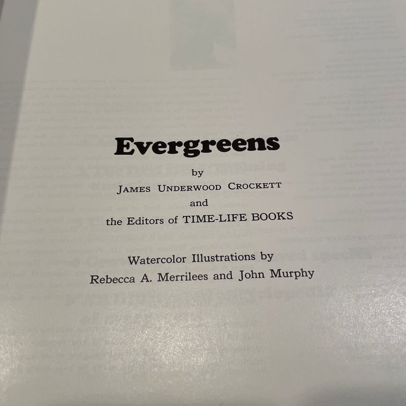 Evergreens