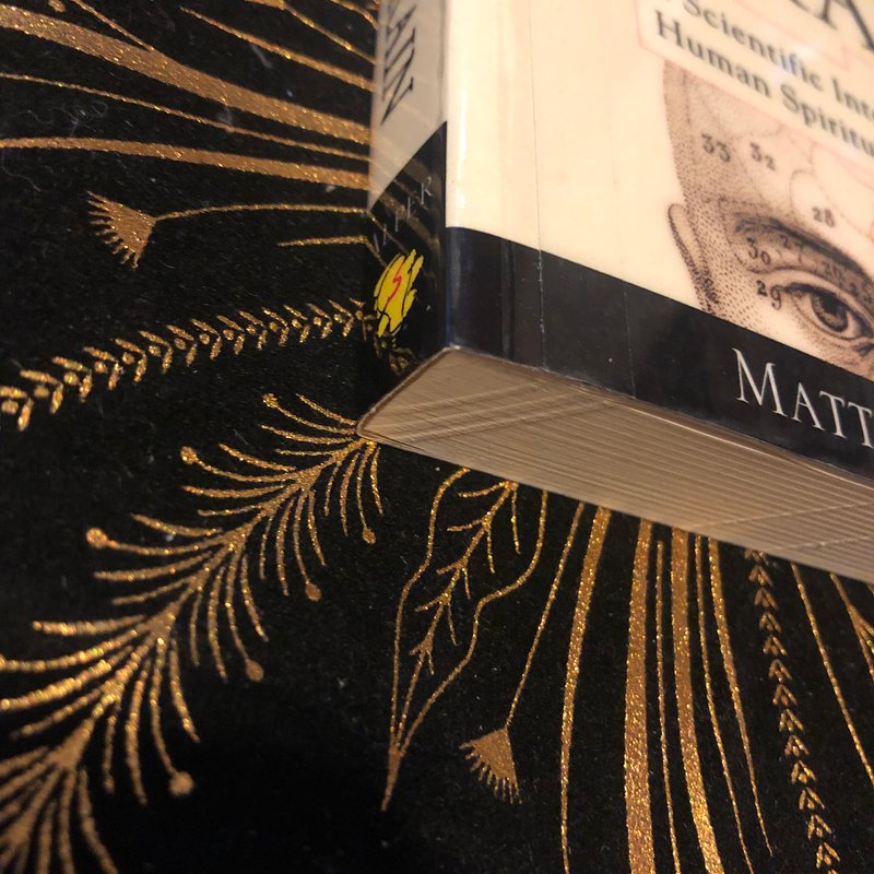 God Part of the Brain by Matthew Alper, Paperback | Pangobooks