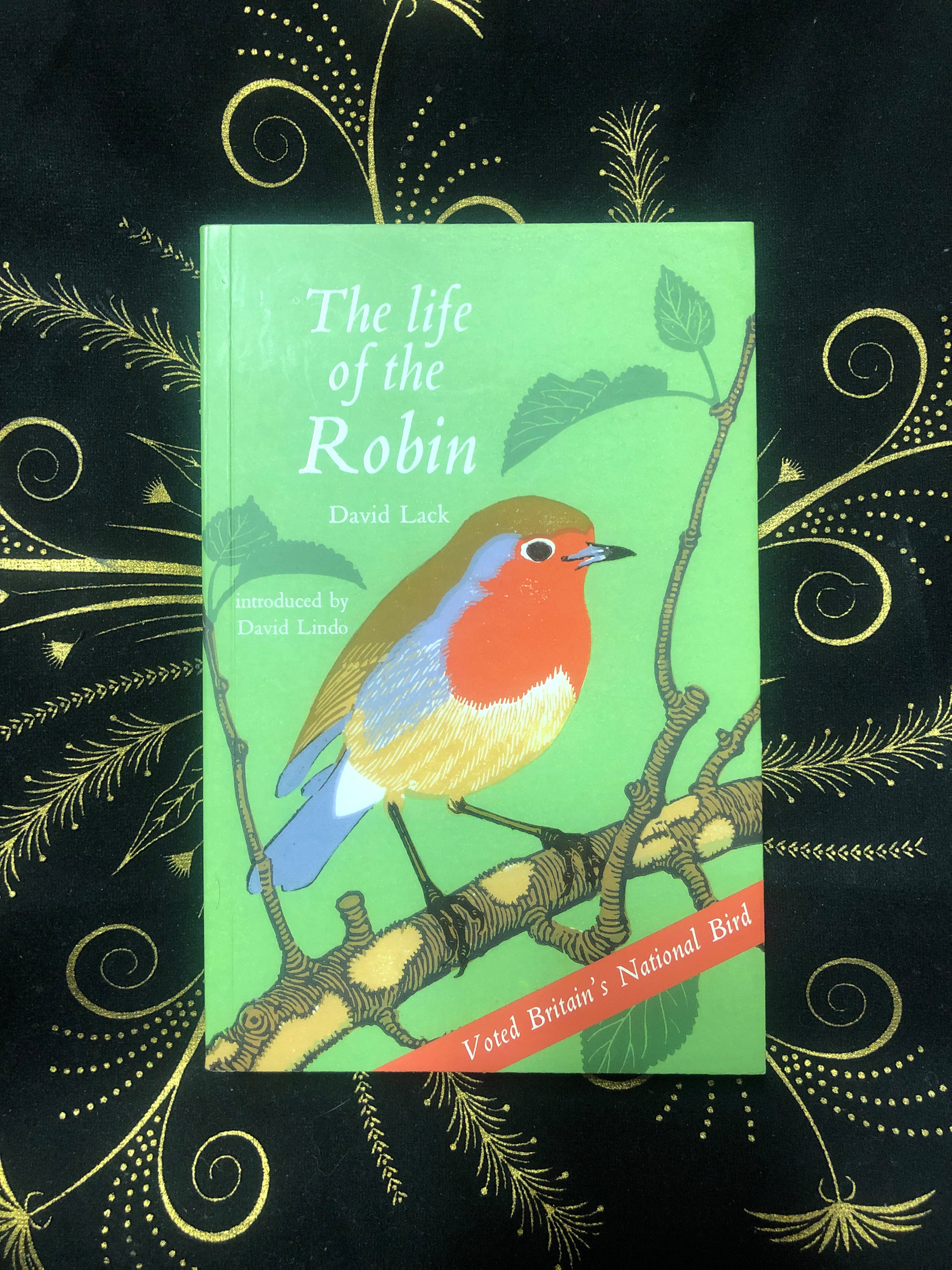 The Life of the Robin