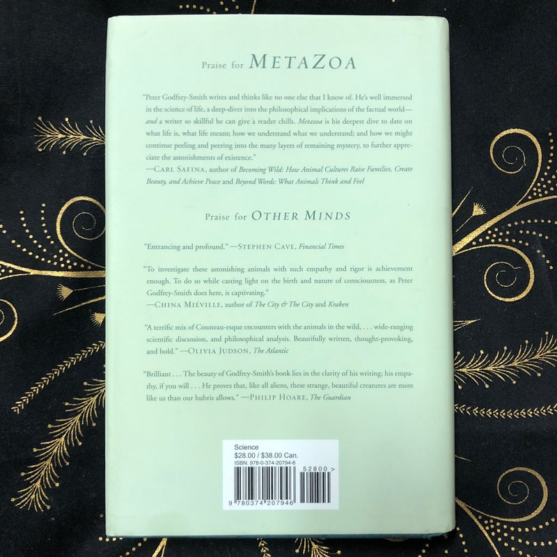 Metazoa