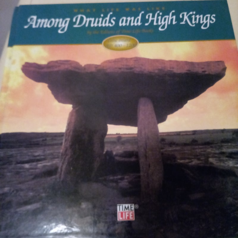 Among Druids and High Kings (Part of "What Life Was Like")