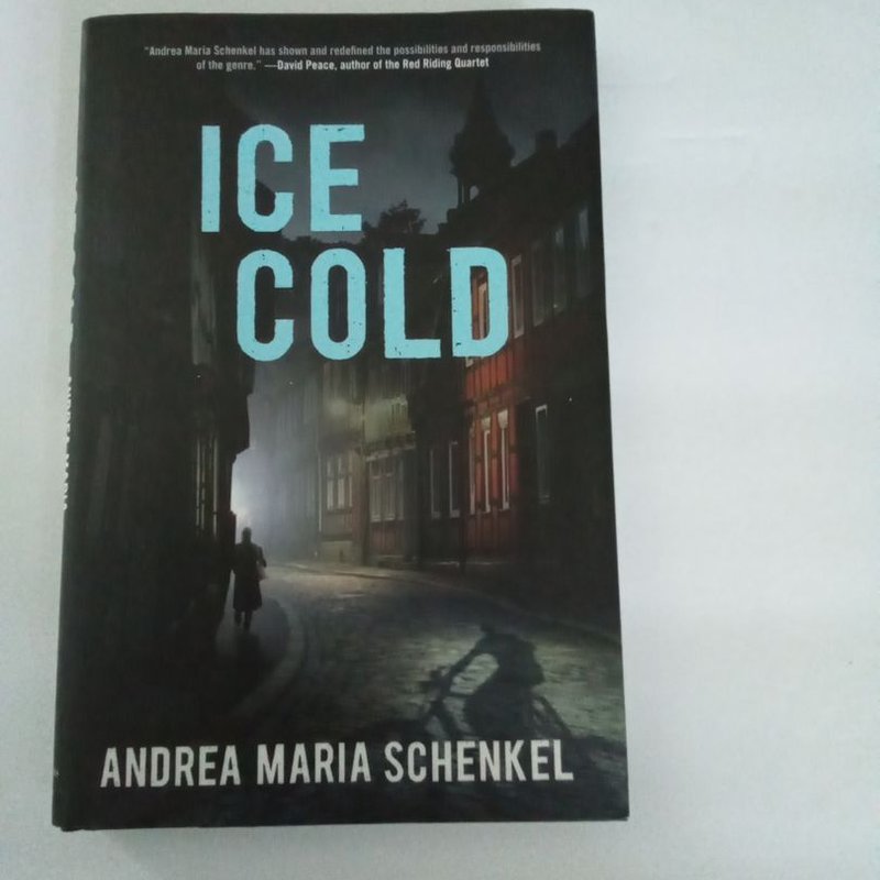 Ice Cold by Andrea Maria Schenkel, Hardcover | Pangobooks