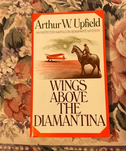 Wings above the Diamantina