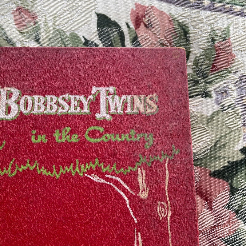 The Bobbsey Twins in the Country 