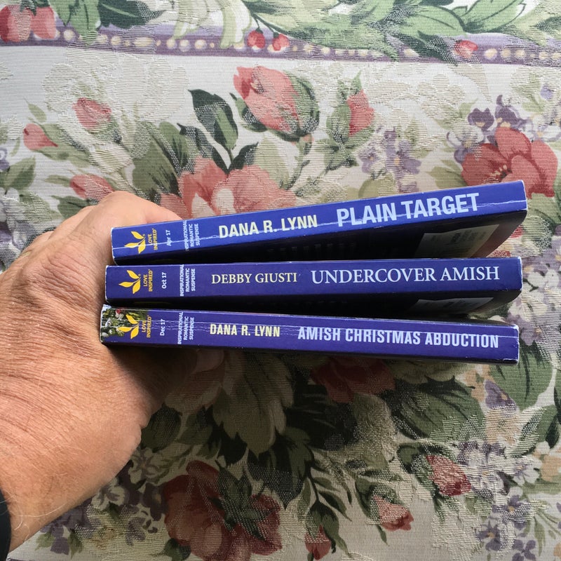 Amish Christmas Abduction, plain Target, Undercover Amish