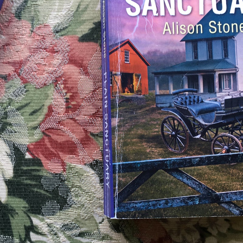 Plain Sanctuary, Plain Cover-up, The Amish Witness