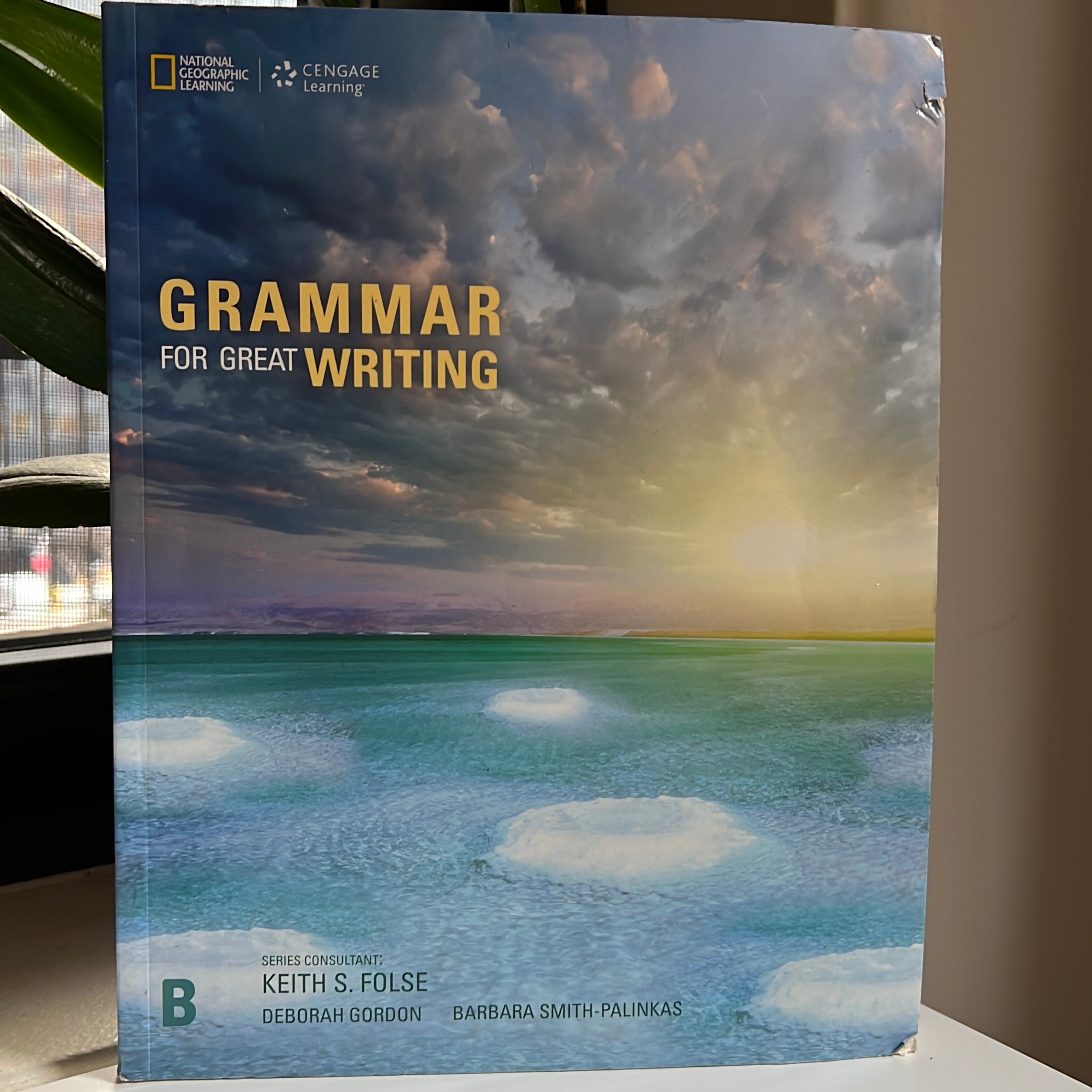 Grammar For Great Writing B By Barbara Smith-Palinkas, Deborah Gordon