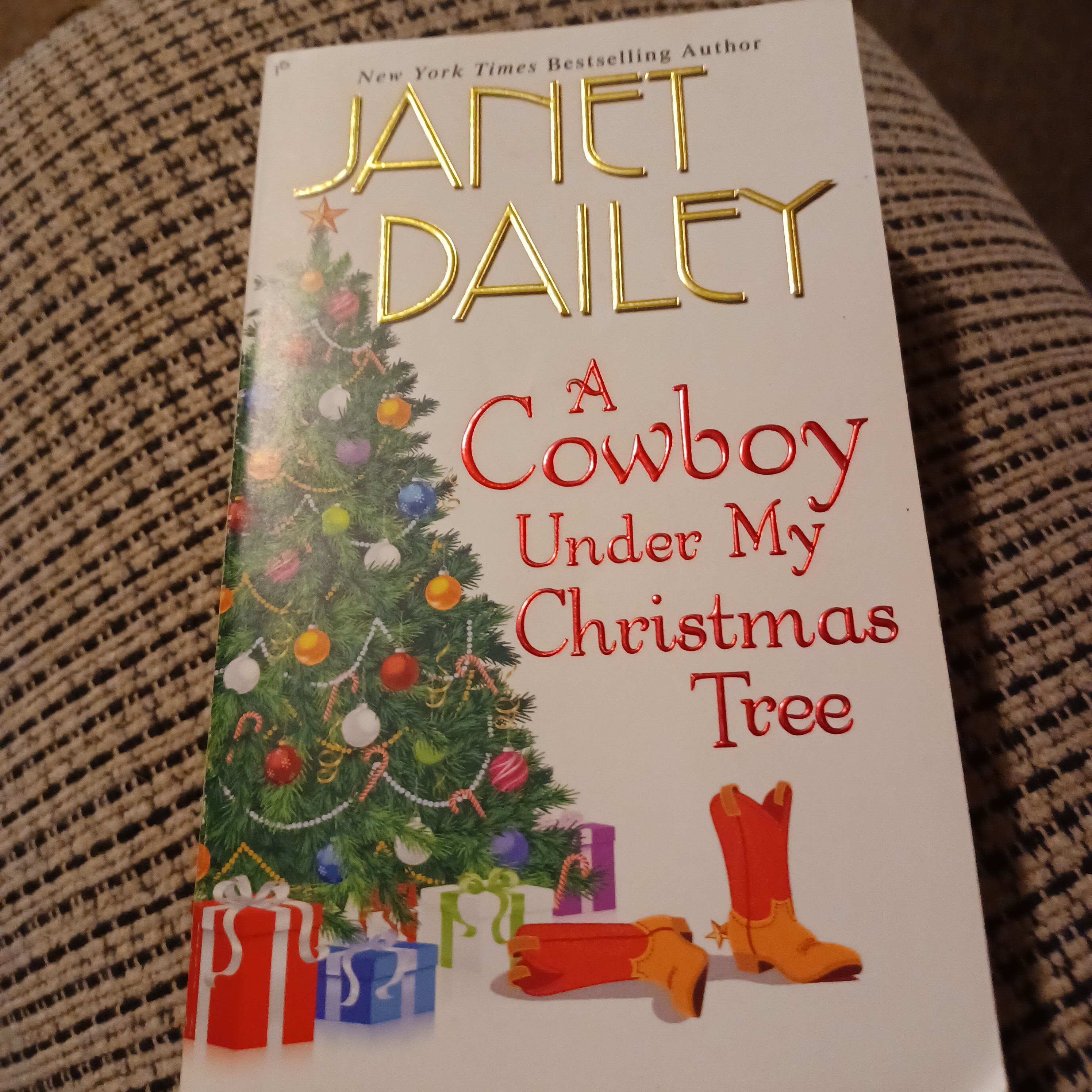 A Cowboy under My Christmas Tree