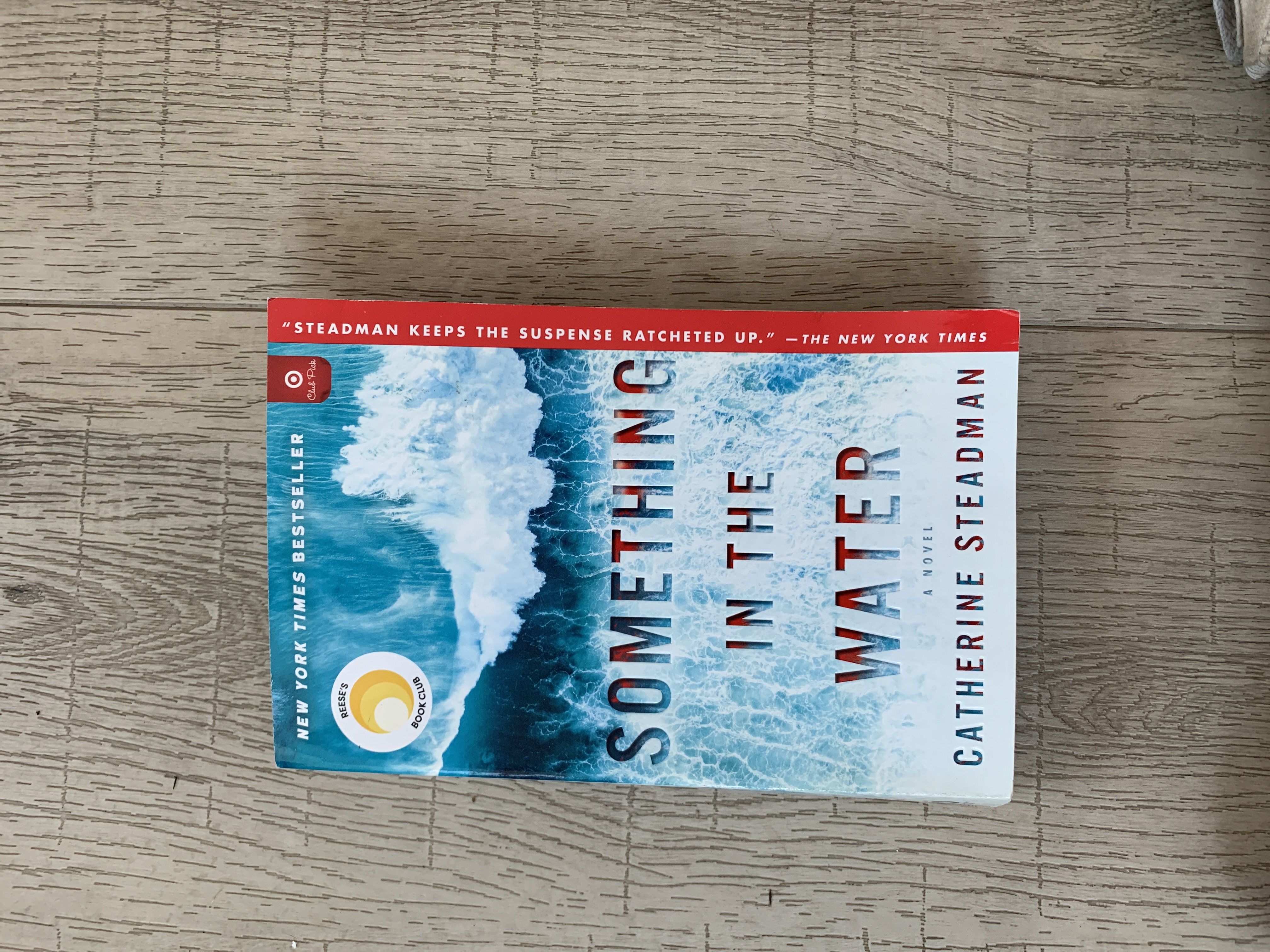Something in the Water - Target April Book Club