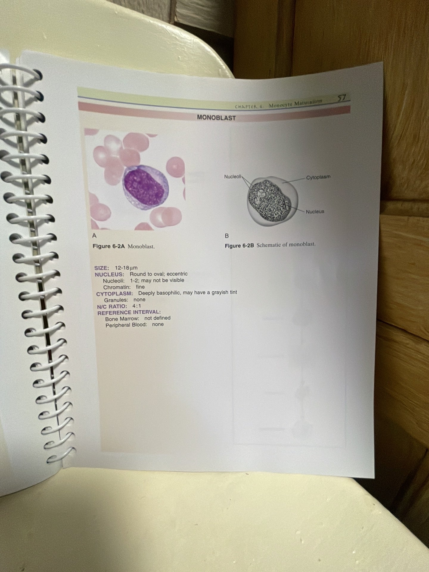 Clinical Hematology Atlas By Jacqueline H. Carr, Bernadette F. Rodak