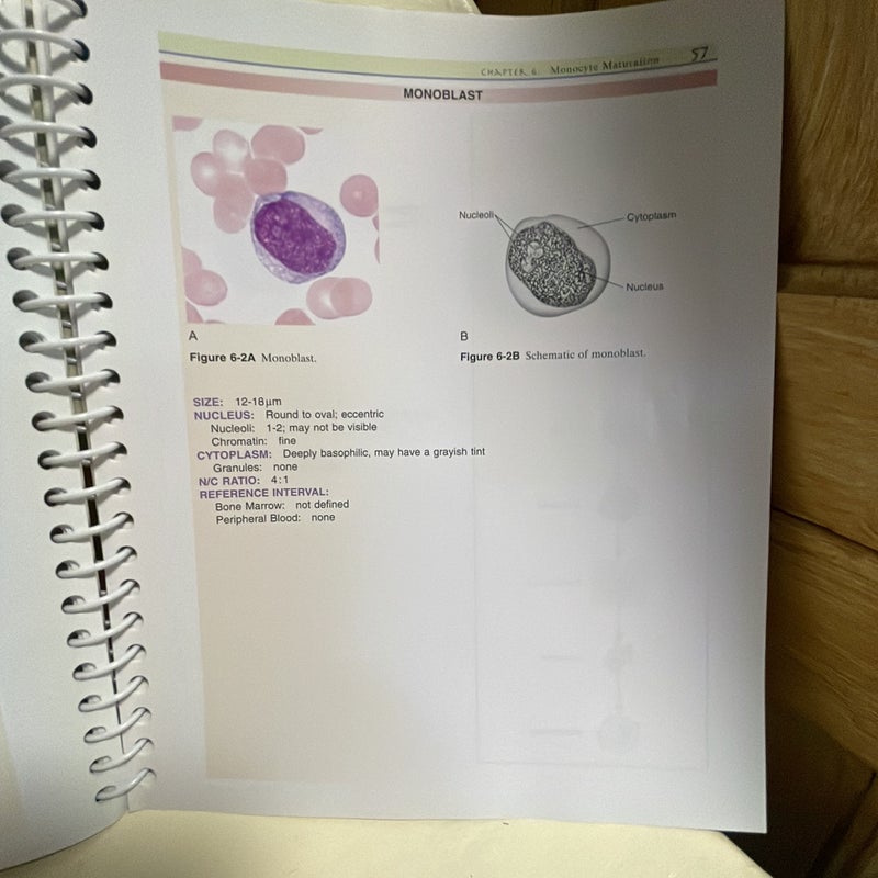 Clinical Hematology Atlas